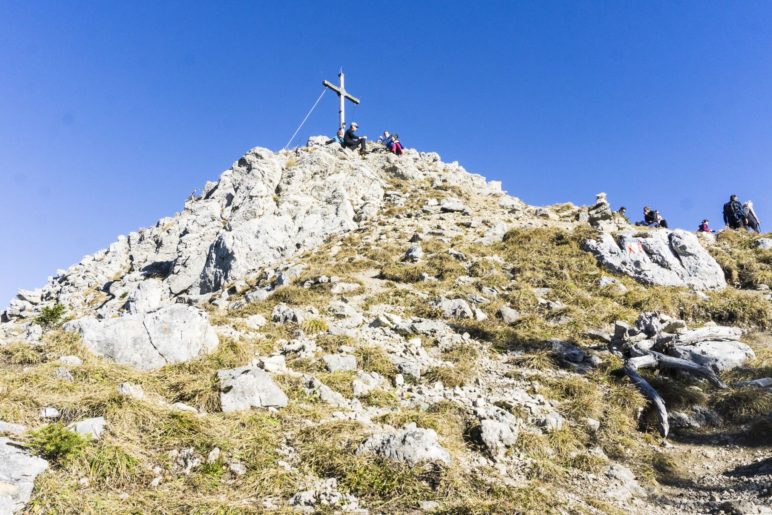 Der höchste Punkt der Wanderung: Der 1720 Meter hohe Gipfel des Wildalpjochs