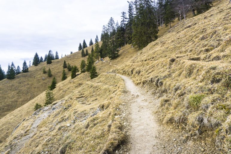 Im Aufstieg zur Seebergalm