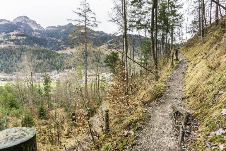 Aufstieg auf dem Höhenweg oberhalb von Bayrischzell