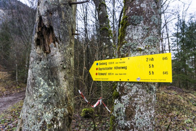 Wegweiser zum Seebergkopf und für den Bayrischzeller Höhenweg, auf dem wir bis zur Neuhüttenalm wandern