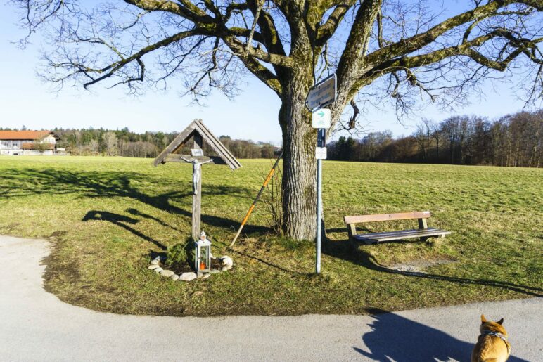 Am Kreuz rechts ab und dann gleich nochmal rechts auf den Feldweg