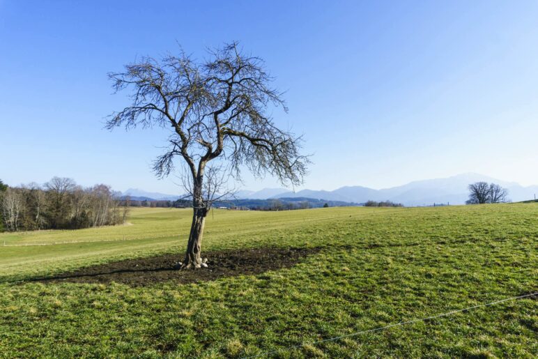 Auf dem Rückweg vom Chiemseefischer nach Grabenstätt