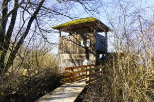 Der Beobachtungsturm Hirschauer Bucht