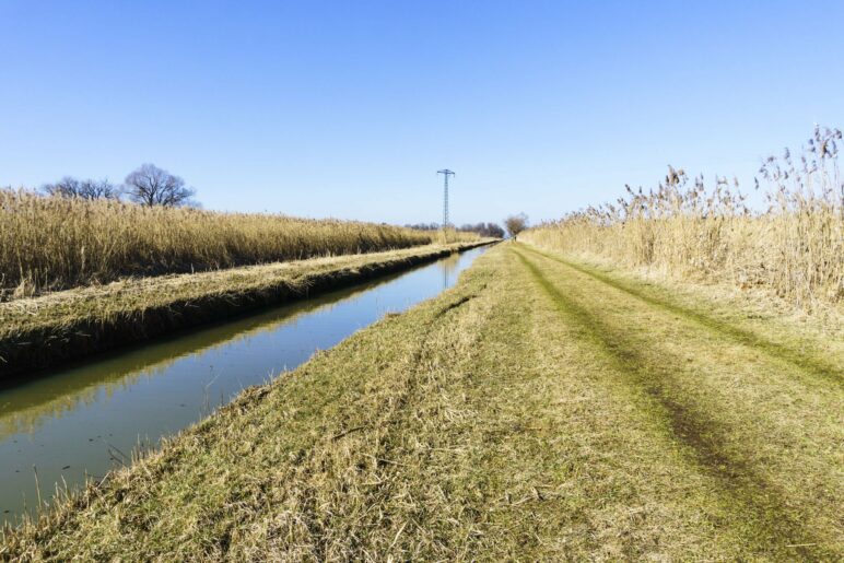 Links der Bach, rechts das Seegras, mittenmang unser Wanderweg