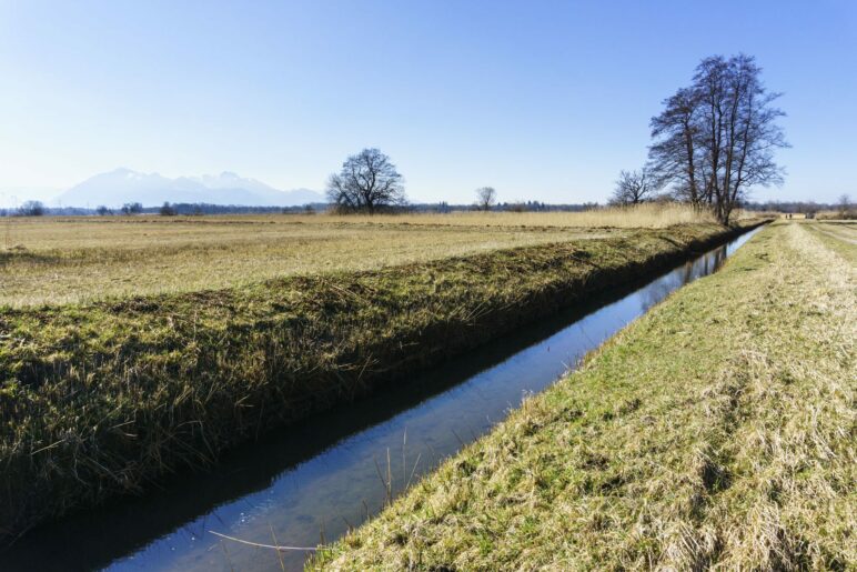 Wandern durch das Grabenstätter Moos am Runst, im Hintergrund die Kampenwand