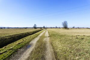 Der Weg am Runst entlang