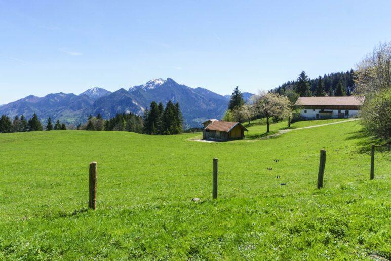 Ein Blick hinüber zum Hochgern