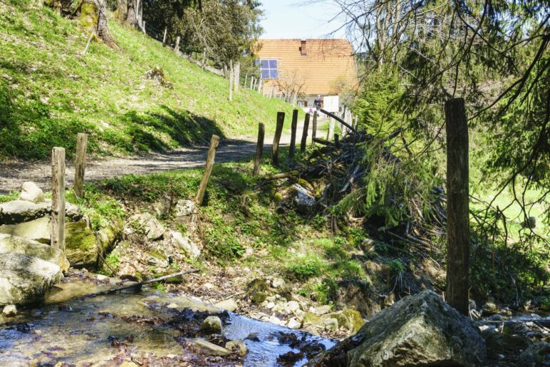 Nur noch wenbige Meter bis zur Hefteralm