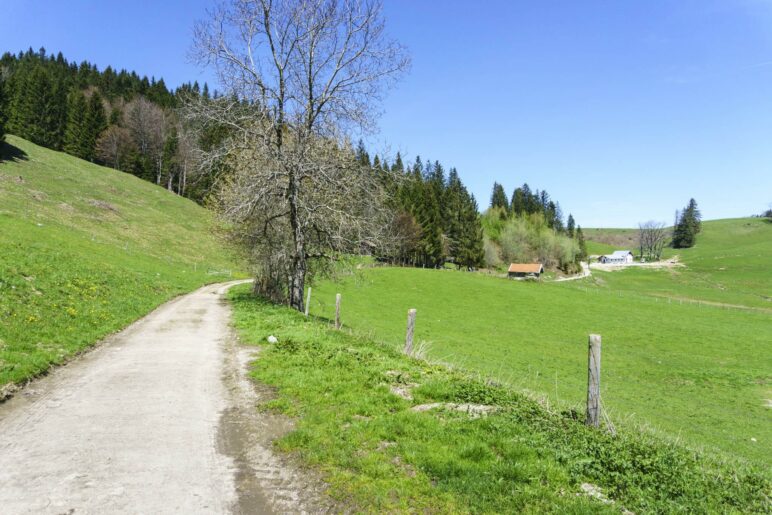 Auf dem Weg zur Hufnagelalm