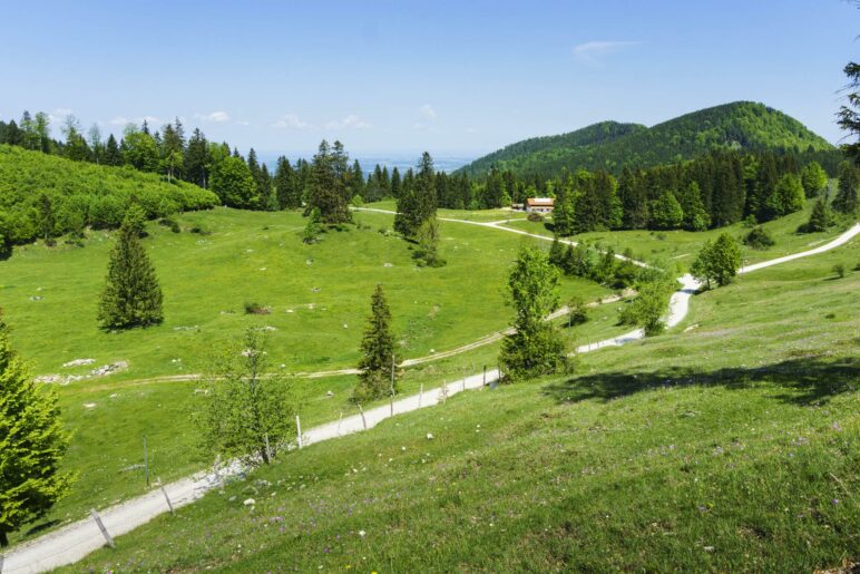 Ein Blick über die Almwiesen zur Frasdorfer Hütte hinüber