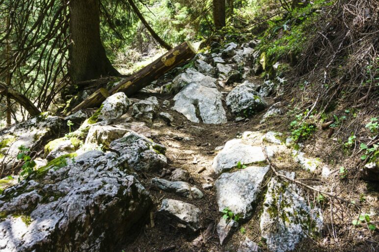 Auf dem schönen, felsigen Bergpfad wandern wir zur Riesenhütte