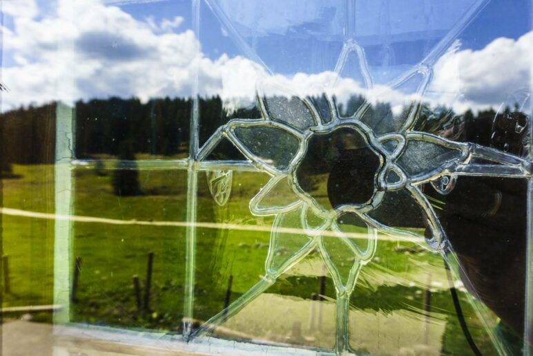 Edelweiß in einem Fenster der Riesenhütte