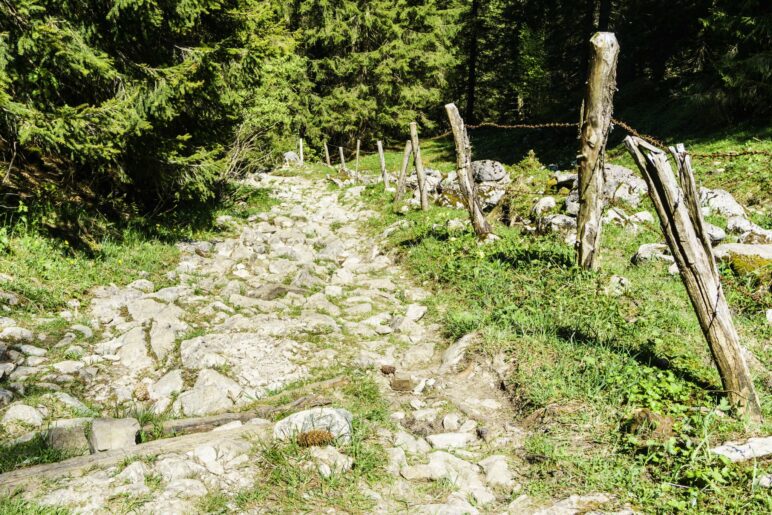 Ein sehr steiniger Weg als Härtetest für müde Wanderer