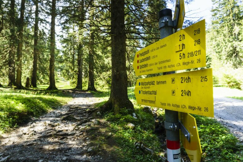 Am Taferlbaum geht es schräg links ab und schnell wird der Weg steiler