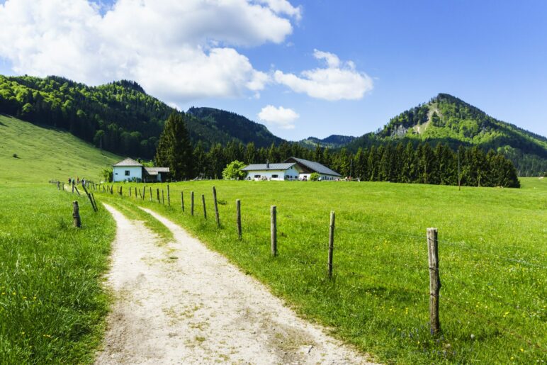 Kurz vor der Hofalm. Im Hintergrund in der Mitte ist der Laubenstein-Gipfel zu sehen