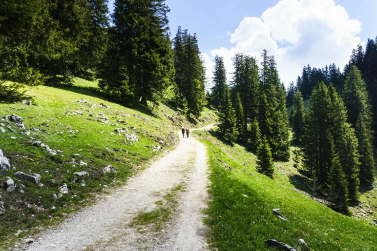 Der Weg hinauf zur Laubenstein-Alm und zum Gipfel