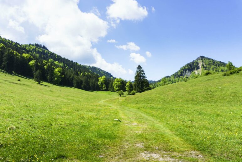 Auf dem Wiesenweg nach der Hofalm