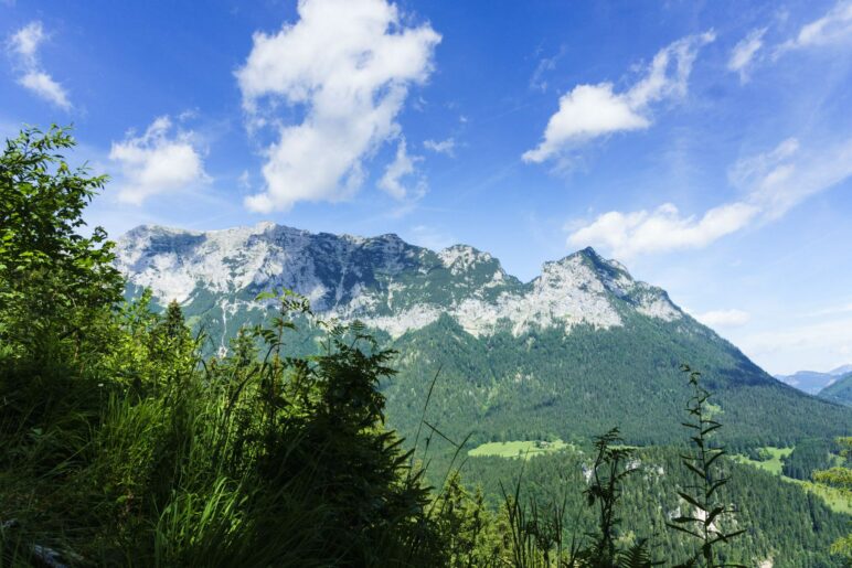 Ein kurzer Blick aus dem Wald auf die Reiteralpe