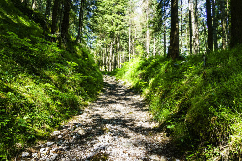 Auf dem Weg 485, der mal ein breiter Weg ist, weiter oben auch ein schöner, schmaler Steig