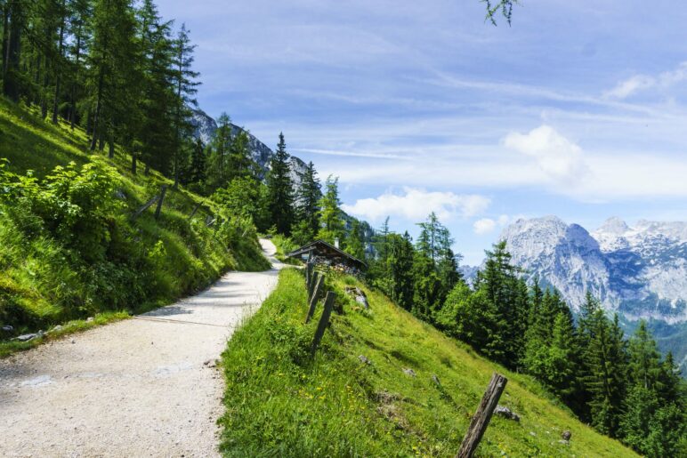 Die letzten Meter auf dem Weg zur Schärtenalm