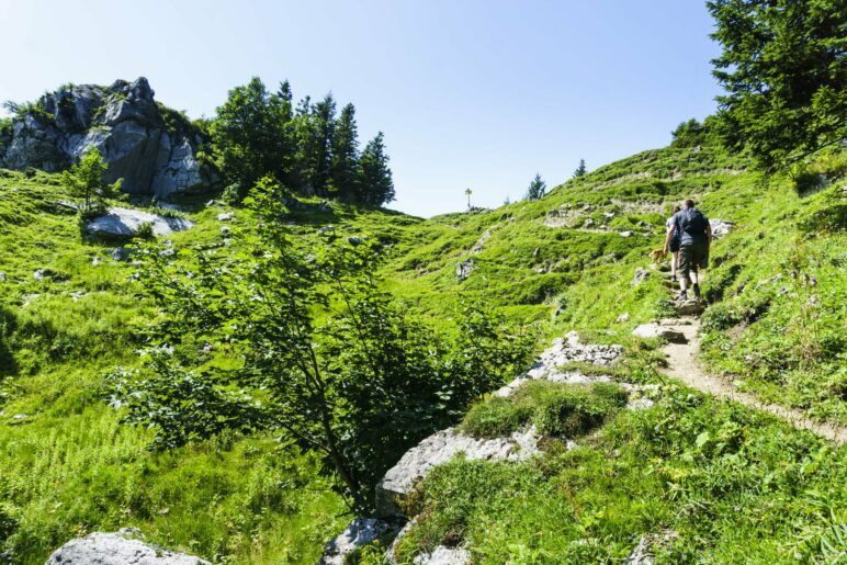 Der finale Aufstieg zur Sonnenalm und zurück zum Panoramaweg