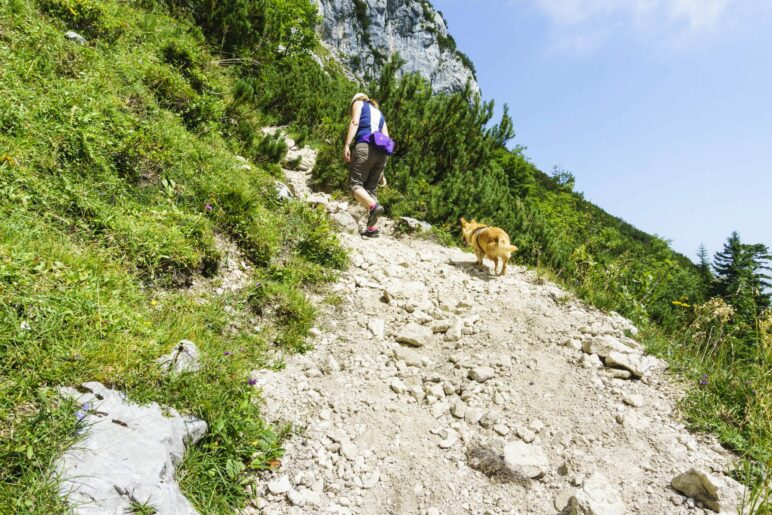 An manchen Stellen führt der Schotterweg steil bergan