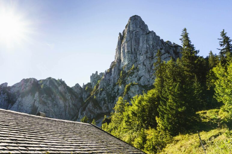 Blick von der Hörndlalm zur Nordwand der Hörndlwand