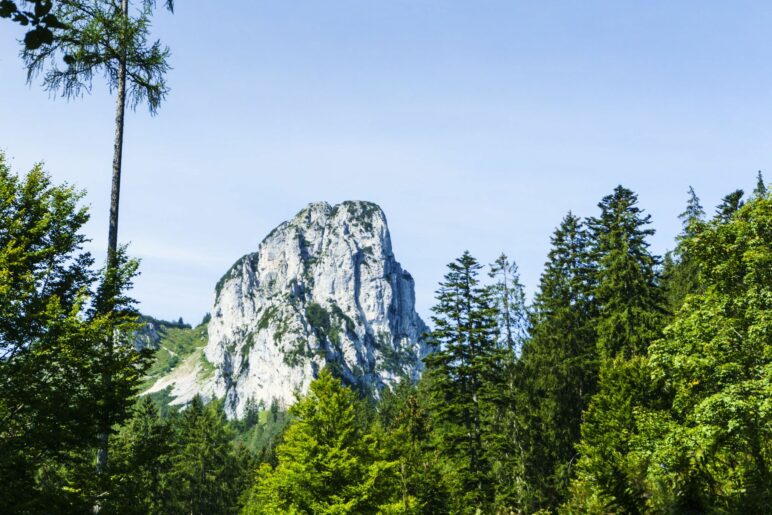 Der erste richtig gute Blick auf die Hörndlwand