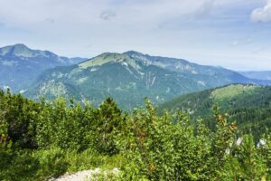 Ein Blick vom Jägersteig hinüber zum Hochfelln