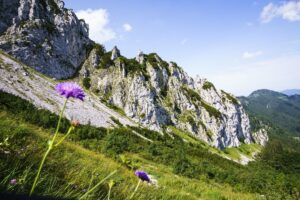 Immer links von uns: Die Steilwände der Hörndlwand