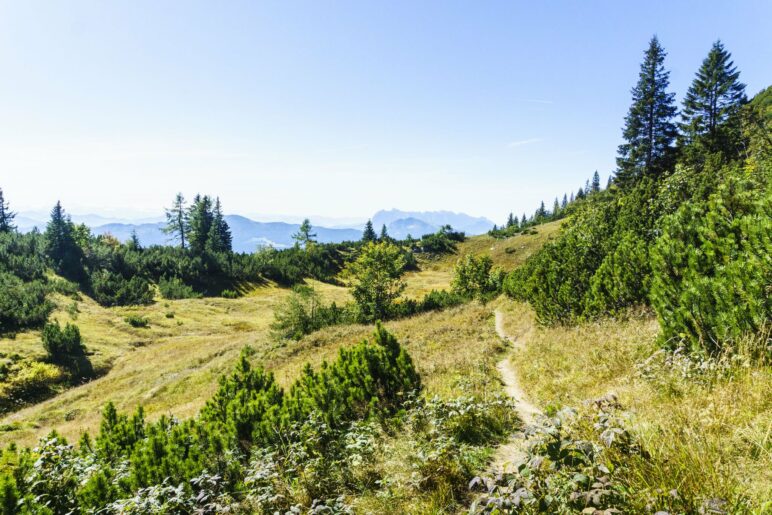 Auf dem Weg zum Gurnwandkopf