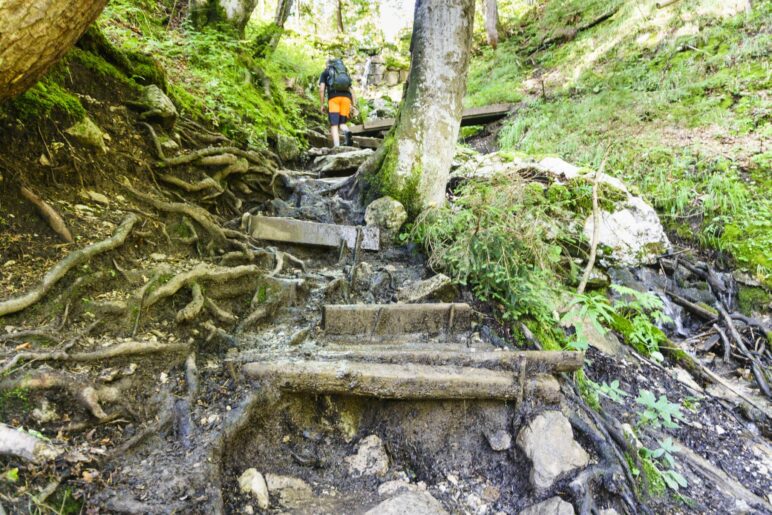 Auf den letzten Metern durch den Wald geht es über einige Wurzeln und Stufen