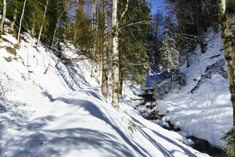 Wanderweg und Bach im oberen Teil der Schlucht