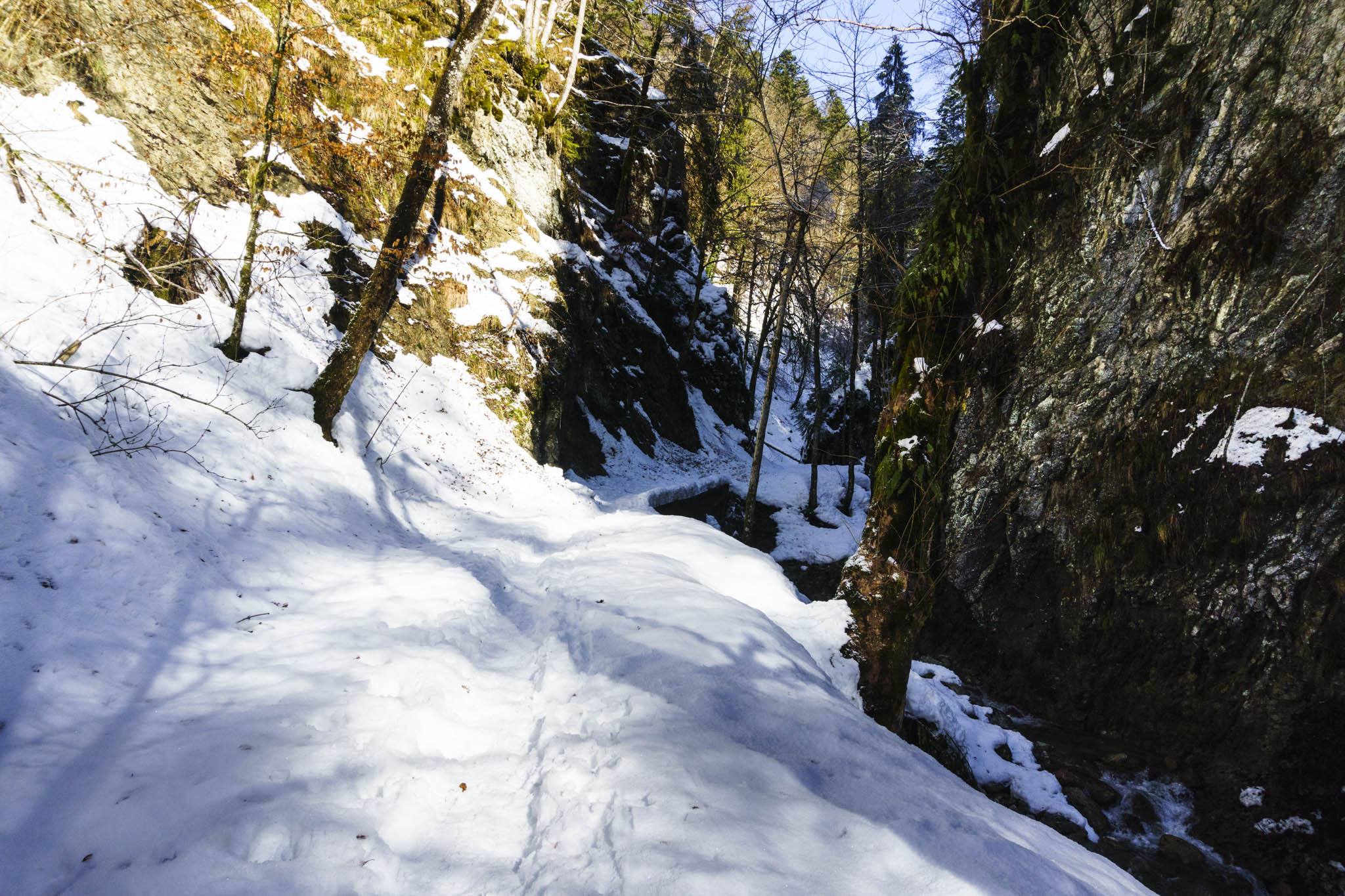 Auf dem Wanderweg durch die Schlucht des Hammerer Grabens