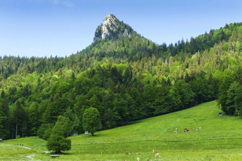 Der felsige Leonhardstein-Gipfel ragt markant aus dem Wald