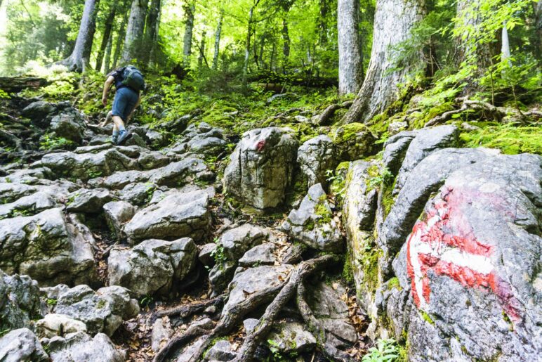 Der Aufstiegsweg zeigt von Beginn an, was uns bis zum Gipfel erwartet