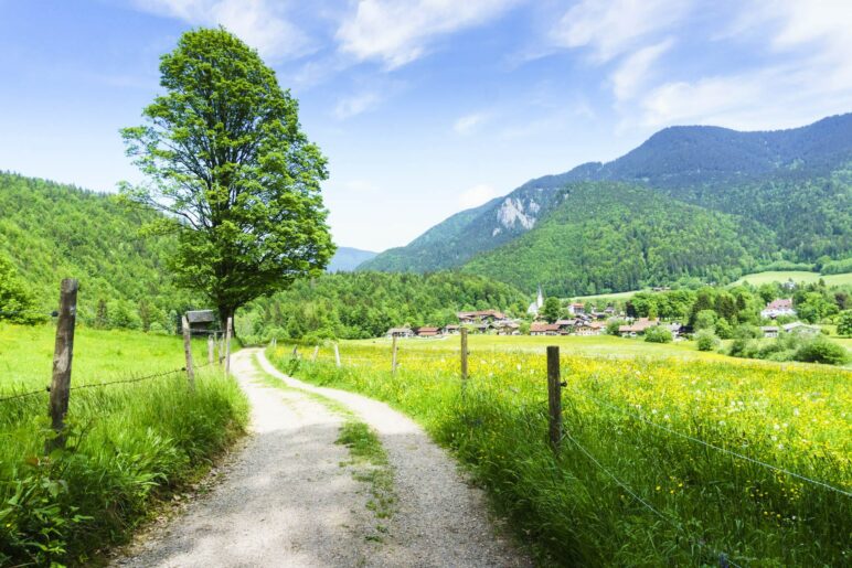 Auf dem Rückweg nach Kreuth