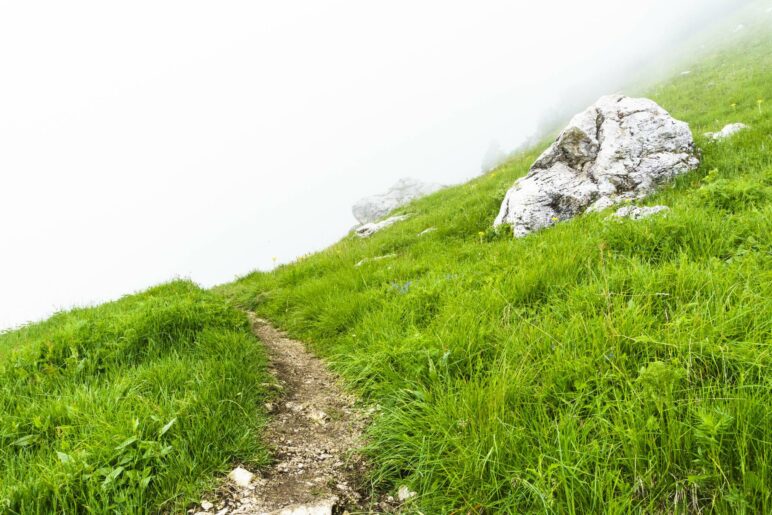 Die auf der Wiese verstreuten Felsen zeigen an, dass gleich der steilere Teil beginnt