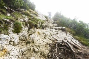 Über Felsen und Wurzeln geht es steil bergauf