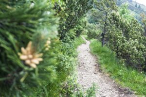 Im unteren Teil wird der Weg flacher und leichter