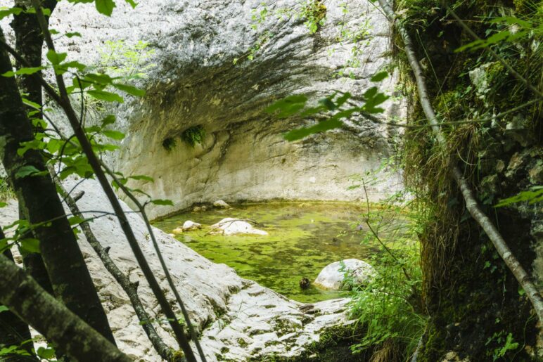 Der Gletschertopf mit dem grünen Tümpel