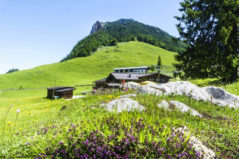 Ein Blick hinauf zur Naunspitze. Im Vordergrund liegt die Ritzau-Alm