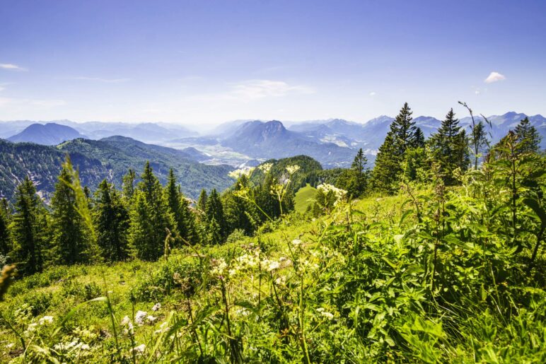 Alpenblick von der Vorderkaiserfeldenhütte