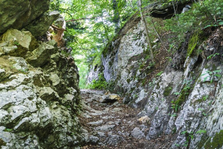 Der Holzziehweg führt zwischen den Felsen hindurch