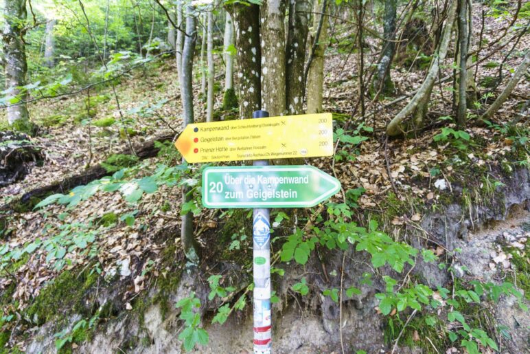 Hier muss man sichentscheiden: Weiter geradeaus auf dem Reitweg gehen oder nachts über den Ziehweg weiterwandern?