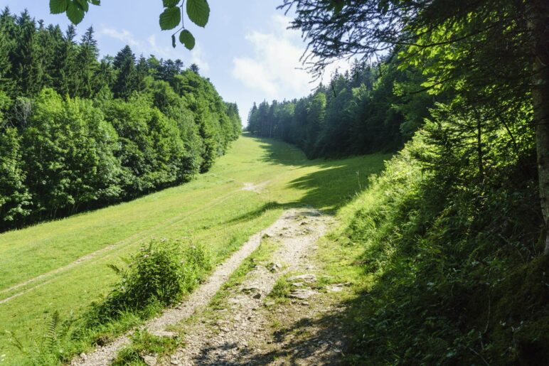 Wir queren die Skipiste. Alternativ kann man auch auf der Piste aufsteigen