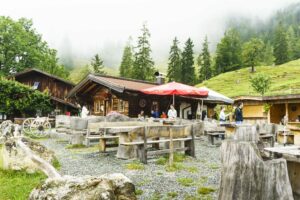 Auf der Hinterschießling-Alm