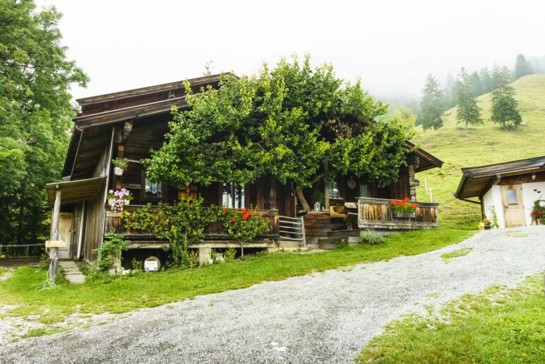 Ein ganz spezielles Baum-Haus. Das alte Almgebäude der Hinterschießling-Alm