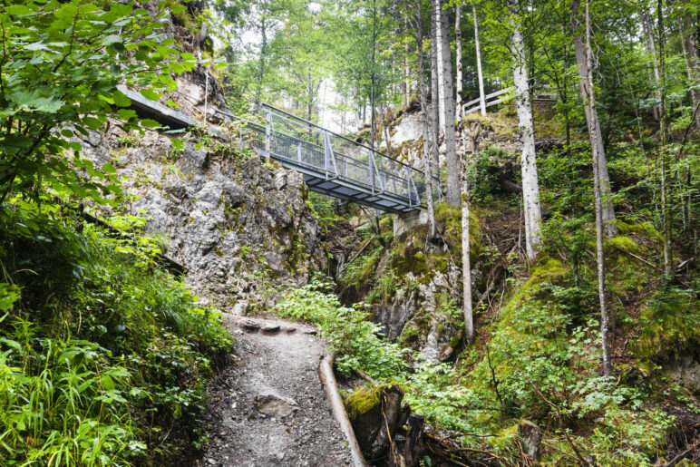 Ein erster Blick zur stählernen Hängebrücke