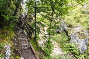 Eine längere Treppe führt zum oberen Ende des Wasserfalls